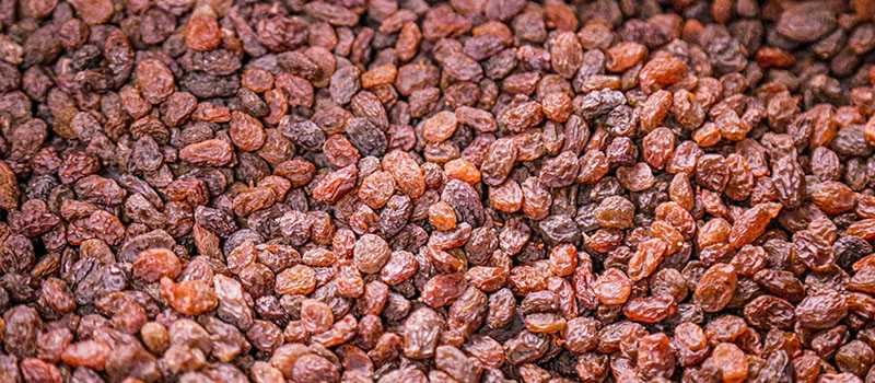Raisins ferritin levels
