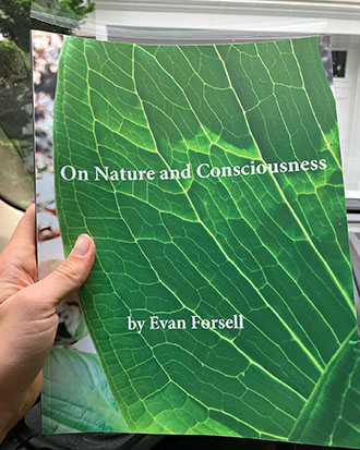 Nature and Consciousness book cover