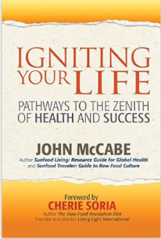 Igniting Your Life