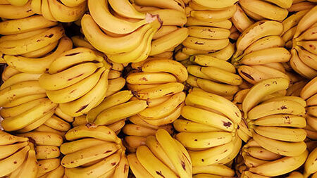 Bunches of Bananas