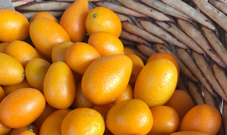 Zesty Kumquats