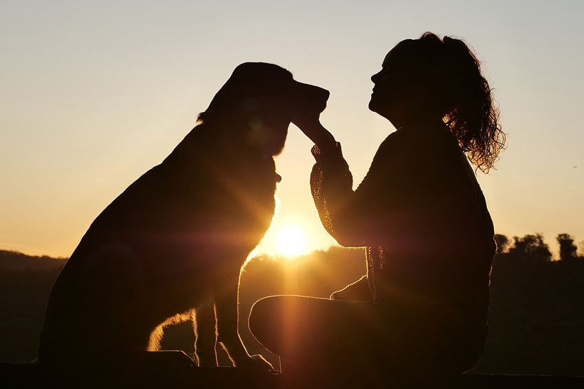 Pet Bereavement