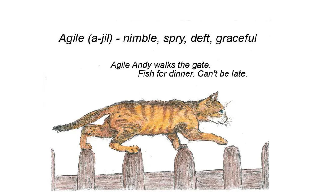 catjectives book page sample