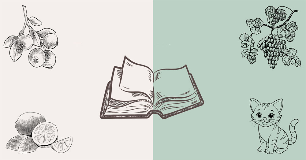 Vegan Resource Directory